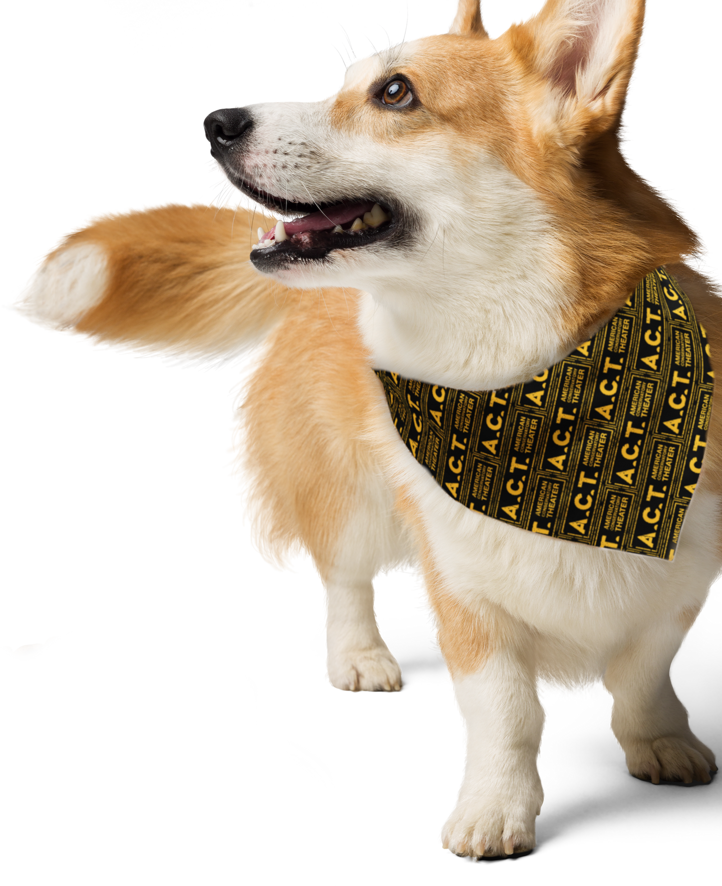 A.C.T. Bandana - Dark