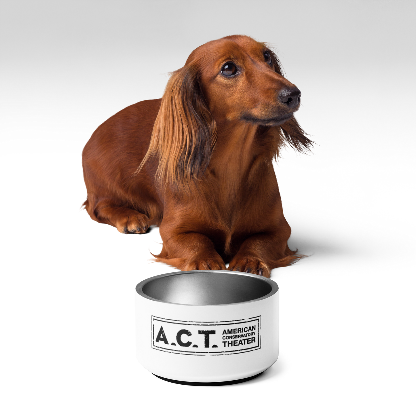 A.C.T. Pet Dish