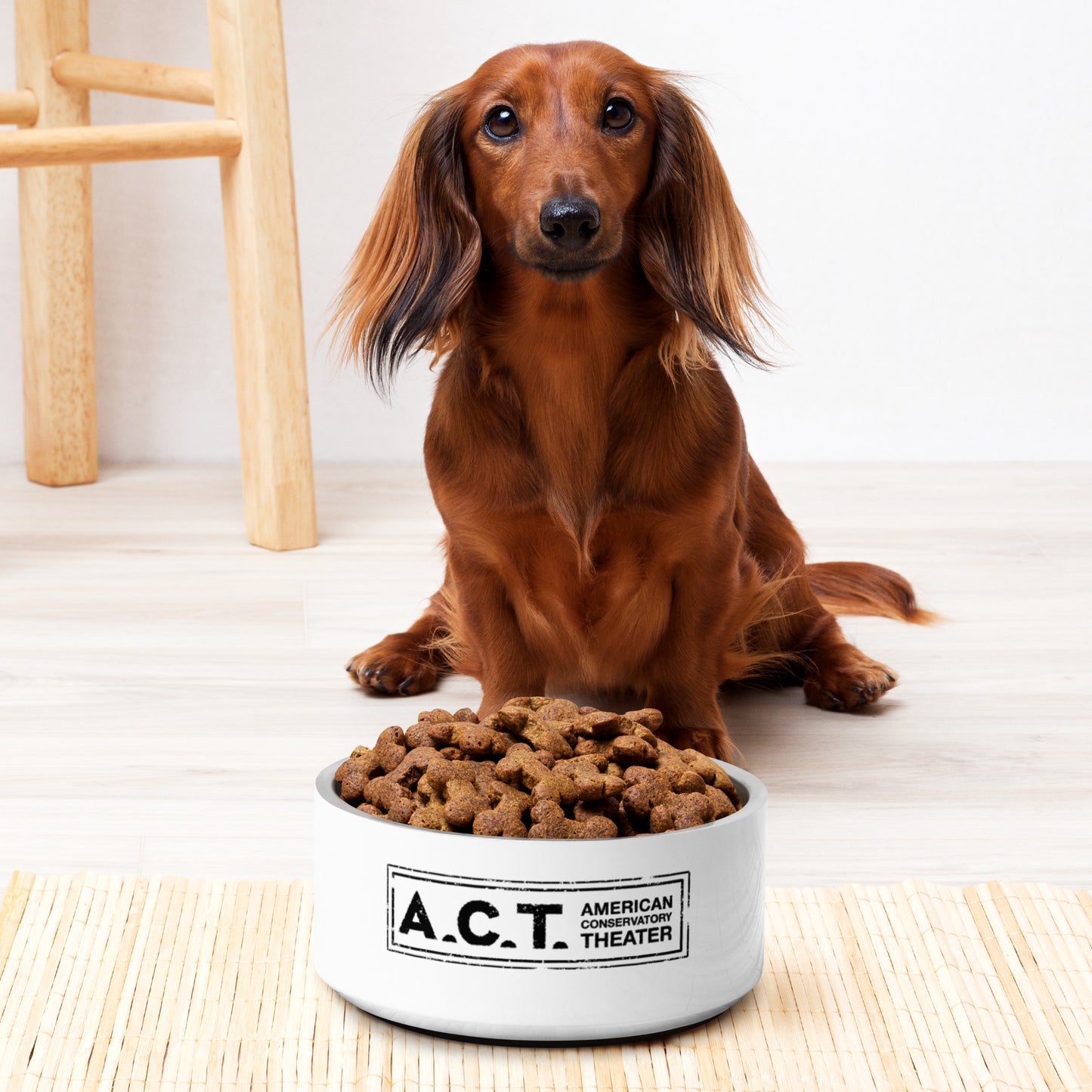 A.C.T. Pet Dish