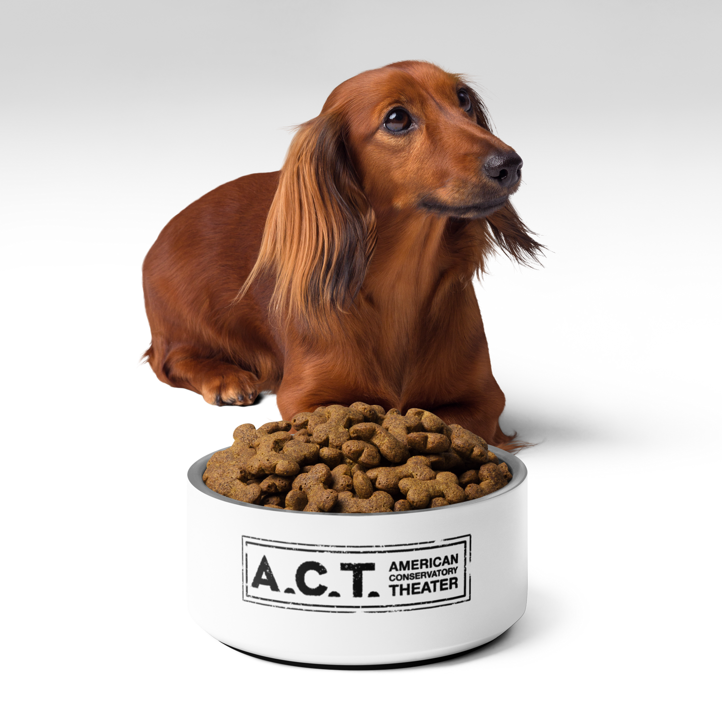 A.C.T. Pet Dish